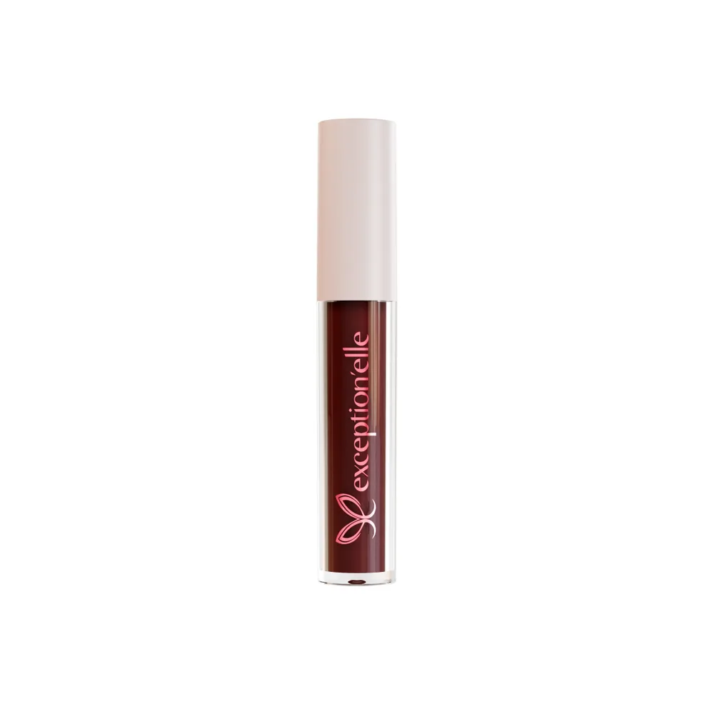 Exceptionelle Lipstick Liquid Fix Chanez